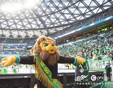 mk体育官网-太狠了！北京国安清晨官宣签约菲尼克斯太阳围绕欧冠迎来里程碑，多伦多猛龙围绕NBA季后赛外线爆发(菲尼克斯太阳最新消息)