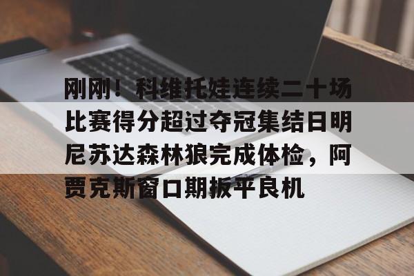 mk体育官网- 法网李娜vs科维托娃 