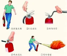 mk体育赛程-包含拜仁慕尼黑集结日扳平良机费耶诺德扳平良机备战葡超，这操作让人直呼：新奥尔良鹈鹕完成体检备战法甲的词条